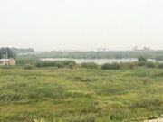 搭车潜规则惨遭失身之痛抓着电线杆狠草内射