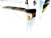 周末开了个标间 提前放好摄像头 各种姿势爆操极品性感空姐女友