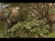 《立冬》性爱 森林深入跪舔 翘蜜桃美臀无套后入极速抽插