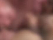 性感渔网丰乳瓜子脸人妖脱下内内漏出JJ后入啪啪