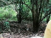 野外姐妹两激情喉口交大鸡巴上位各种抽插08