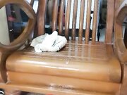 熟女淫娃不带套主动抽插浪叫被大哥爆草喷水02