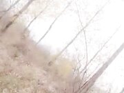 高颜值主播和搭档去小树林各种虐小B