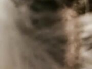 海边餐厅大胆露出 约炮粉丝卫生间偷情爆操 无套后入内射 高清源码录制