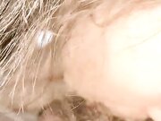 上线人气就登顶 一晚赚几千 蜜桃臀 一线天 淫水一流男主就开舔