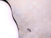 浴场偷偷来一炮 一场赚3500人民币 人来人往随时可能被发现 蜜桃臀 一线天