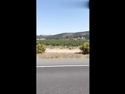 哥哥快来帮我检查身体