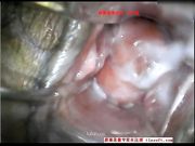 首次使用擴音器 窺視愛液是如何產生的