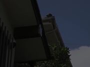 脱掉丧服 在死者遗像前让自己成熟的身体一遍又一遍地精液 1