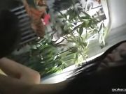 土豪双飞18岁小姐姐大奶嫩妹 逼逼超粉嫩