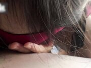 K9少女強制高潮