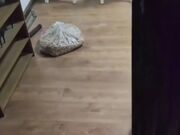 兄妹乱伦剧情 妹妹失恋后在家喝闷酒哥哥化身情感大师开导亲妹用鸡巴化解