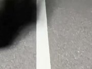 公厕4P换妻聚会现实中结婚很多年了发小也是颜值夫妻没事就换着玩