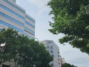 与美女上司和爱妻家同处一室 出差NTR之夜1