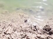 湖边抓螺丝性感黑丝妹妹凉亭勾引哥哥小竹林激情后入爆插粉嫩鲍鱼淫水四溅