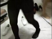 玩出3P新境界勾引同学3P两美女同学和男同学玩双飞 可惜有个美女大姨妈来了