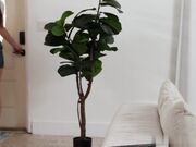 你喜欢天真的女孩被大鸡巴操翻吗