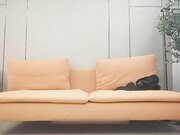 高颜黑丝小姐姐 老公操我操我小骚逼 啊老公操我大鸡吧好爽