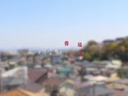 敏感谨慎 患有痛风的姐姐真美善波1