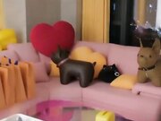 极品可爱短发美少女口交大肉棒后入啪啪