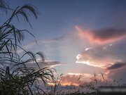 女友闺蜜竟然是个S