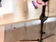极品双马尾小萝莉白嫩奶子白虎穴主动骑乘