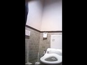 公共衛生間偷拍到的各式美女