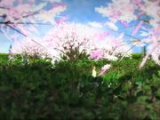 [Tech3d] 公園で美しい少女露出SEX