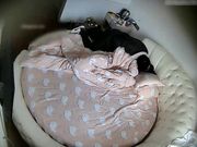 气质性感的白领美女被男友带到酒店后要啪啪 美女不愿意被男的强行一件件脱掉衣服,抠到快高潮时才狠狠操