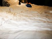 情趣衣肉丝袜少妇一边被草一边玩手机 720P完整版