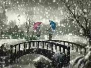 大学里的男老师备受女人们的欢迎