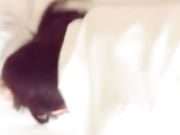 极品女神英语老师露脸口交和后入跪舔高清无水印版