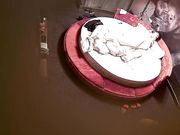 特色圆床主题房有钱小老板大叔约会坚挺美乳情妇洗干净开始滾床单女上位扭的相当疯狂非常主动很快就交货了