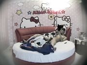 哈喽KT情趣房女友貌似很饥渴还没有脱好就把他按倒鸡巴吃得很有味