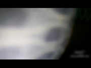 房东大姐的木耳真黑被人玩多了