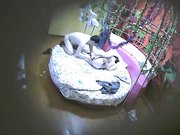 情趣房花床偷拍一对很会玩的文化人鸡巴舔雪糕各种姿势体位草不停