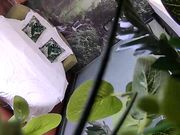 清新自然房不太持久的小伙提前开好房等待苗条年轻长发妹子来打炮听对白貌似是援交妹操完穿衣服就走