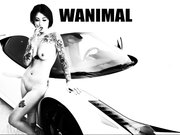 色影大师王动WANIMAL最新官方出品VIP视图作品集之惊艳纹身法拉利女孩 香车美女 嫩鲍美乳 高清1080P
