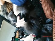 御姐搭上顺风车被老司机下药到矿泉水里 边走边摸拉到偏僻的地方 穿黑丝竟然不穿内裤 肥美BB露出无套内射