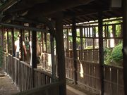 温泉若女将愛咲れいら～ご奉仕フェラ