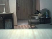 约操极品美女性感纹身甜蜜口技淫荡爆操