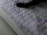 妈妈午休时故意穿着性感暴露的黑丝勾引儿子实在受不了进去不停的揉奶子扣小穴