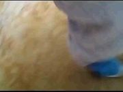 王老吉啪啪妹子太不专业还玩起了微信