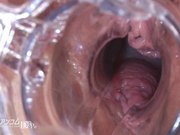 一本道マンコ図鑑 七瀬リナ