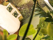 大奶美眉与饥渴小胖开房约炮女上位坐个不停操