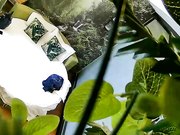 饥渴马尾小少妇与四眼男偷情床上各种大战激情四射