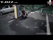 停车场背个大长腿长筒袜醉酒女白领回家无套内射