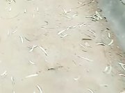 骚货俏秘书跟小哥哥玩刺激的野战找个没人的地方就口