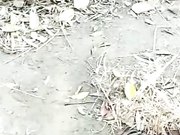 骚货俏秘书跟小哥哥玩刺激的野战找个没人的地方就口