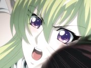 淫城に囚われし麗姫